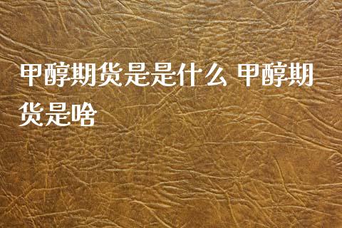 甲醇期货是是什么 甲醇期货是啥_https://www.cqckcrrc.com_纳指直播_第1张