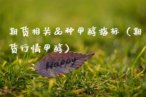 期货相关品种甲醇指标(期货行情甲醇)_理财百科_第1张_期货投资网 期货相关品种甲醇指标(期货行情甲醇)_https://www.cqckcrrc.com_理财百科_第1张