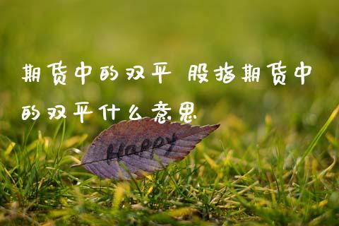 期货中的双平 股指期货中的双平什么意思_原油期货_第1张_期货投资网 期货中的双平 股指期货中的双平什么意思_https://www.cqckcrrc.com_原油期货_第1张