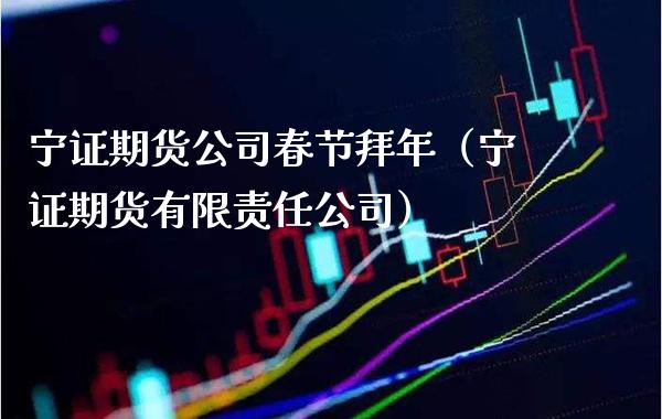 宁证期货公司春节拜年（宁证期货有限责任公司）_https://www.cqckcrrc.com_期货开户_第1张