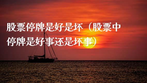 股票停牌是好是坏(股票中停牌是好事还是坏事)_股票理财_第1张_期货投资网 股票停牌是好是坏(股票中停牌是好事还是坏事)_https://www.cqckcrrc.com_股票理财_第1张