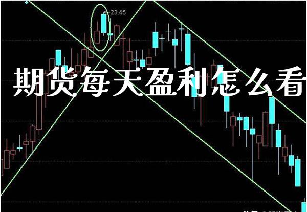 期货每天盈利怎么看_https://www.cqckcrrc.com_道指直播_第1张