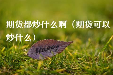 期货都炒什么啊（期货可以炒什么）_https://www.cqckcrrc.com_恒生指数_第1张