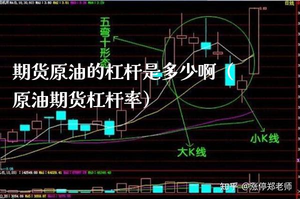 期货原油的杠杆是多少啊（原油期货杠杆率）_https://www.cqckcrrc.com_期货直播_第1张